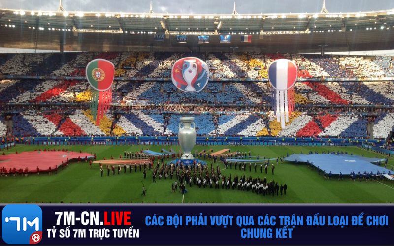 Cac doi phai vuot qua cac tran dau loai de choi chung ket Các đội phải vượt qua các trận đấu loại để chơi chung kết