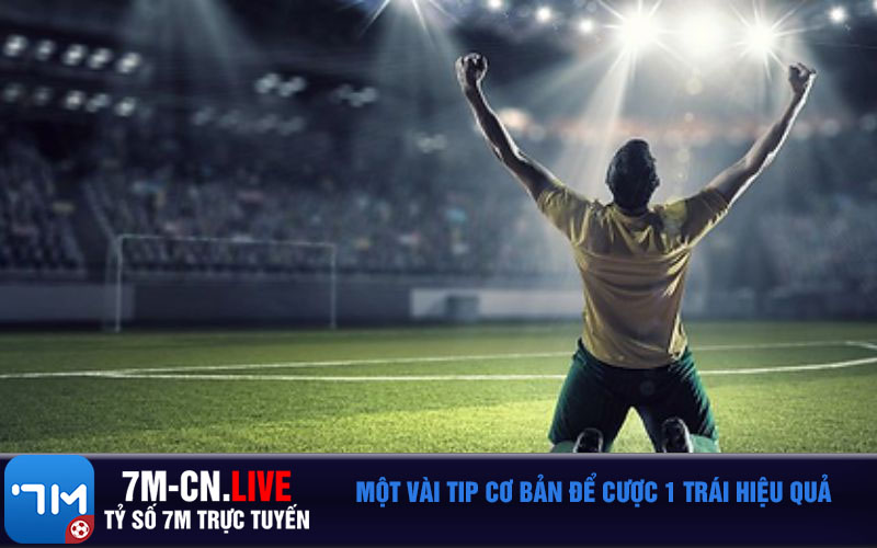 Mot vai tip co ban de cuoc 1 trai hieu qua Một vài tip cơ bản để cược 1 trái hiệu quả