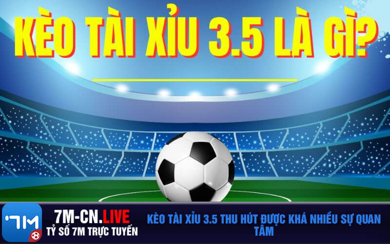 Keo tai xiu 3.5 thu hut duoc kha nhieu su quan tam Kèo tài xỉu 3.5 thu hút được khá nhiều sự quan tâm