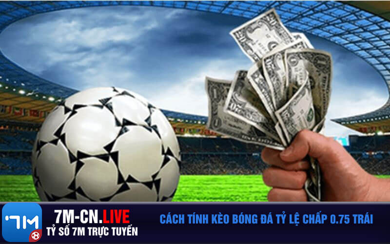 Cach tinh keo bong da ty le chap 0.75 trai Cách tính kèo bóng đá tỷ lệ chấp 0.75 trái