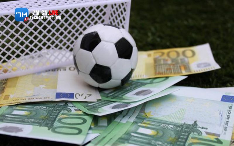 7mcnlive 5 Giới thiệu về cá độ bóng đá
